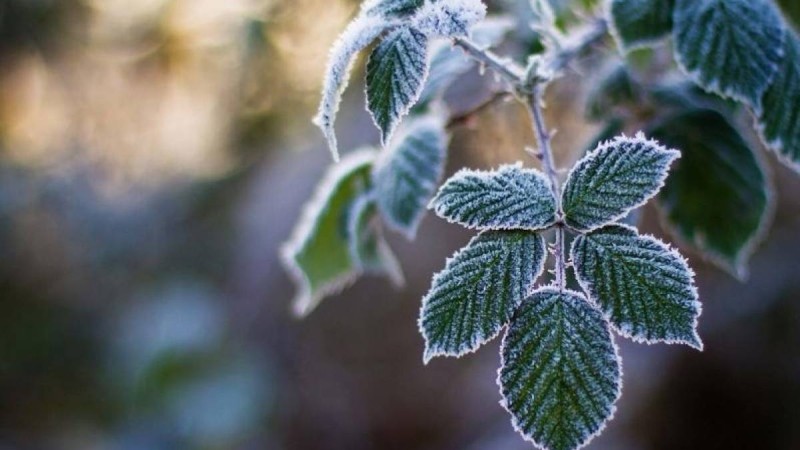 Қазақстанда демалыс күндері ауа температурасы 0-ге жақындайды