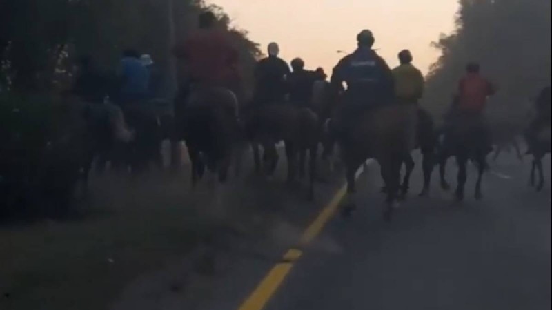 Ондаған көкпар шабандозы Алматы маңындағы трассаны жауып тастады (ВИДЕО)