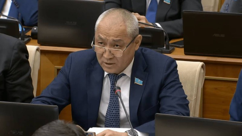 "Дайындықсыз келеді". Мәжілісте үкіметке ескерту жасады