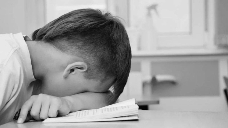 Павлодарда екінші сынып оқушысын жоғарғы сынып баласы зорлаған