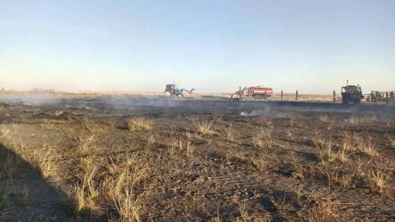 Абай облысында балалар сіріңкемен ойнап, 82 тонна шөпті өртеп жіберген