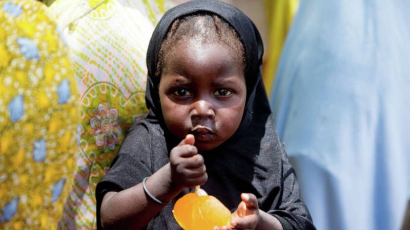 Әлемде аштық пандемиясы орын алуы мүмкін – БҰҰ өкілі