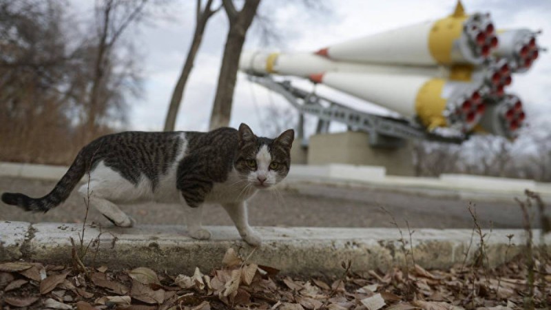 Ресей 11,6 мың гектар жерді Қазақстанға қайтарады  