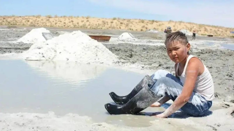 Үш бірдей қазақ фильмі «Азия Оскарын» жеңіп алды