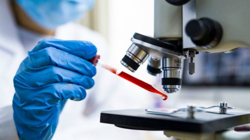 Коронавирусқа қарсы маймылдарға жасалған вакцина оң нәтиже көрсетті - Қазақстан жаңалықтары