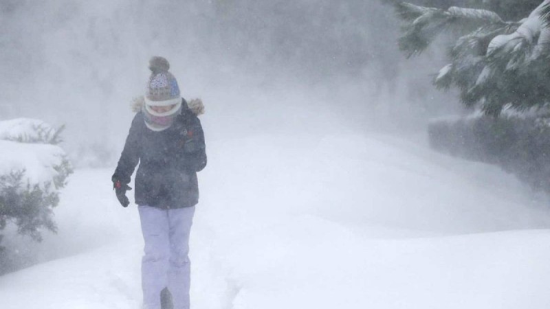 "Мал-жанға қиын соғады": Жұлдыз жорамалшы алдағы қыстың қандай болатынын айтты - Қазақстан жаңалықтары