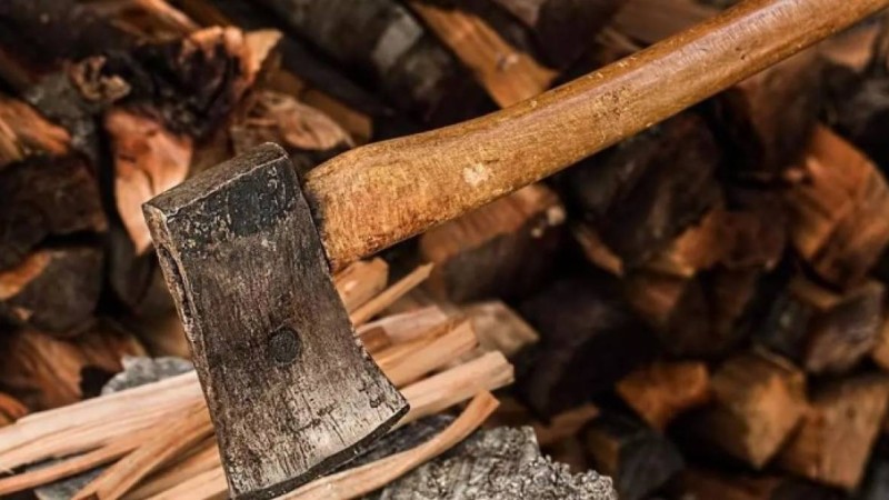 Түркістан облысында өз ұлын балталап өлтірді деген күдікпен ер адам 15 жылға сотталып кетті