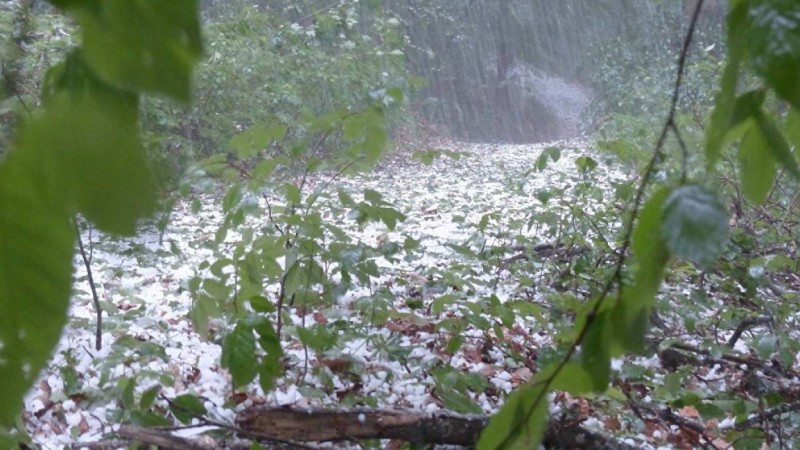 Елдің 11 өңірінде дабылды ескерту жарияланды