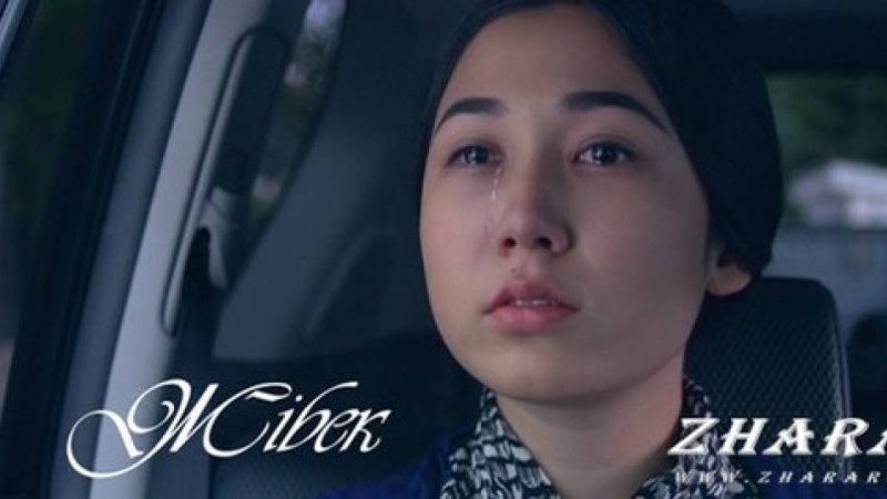 Қазақша сериал: Жібек телехикаясы (32 бөлім) » ZHARAR