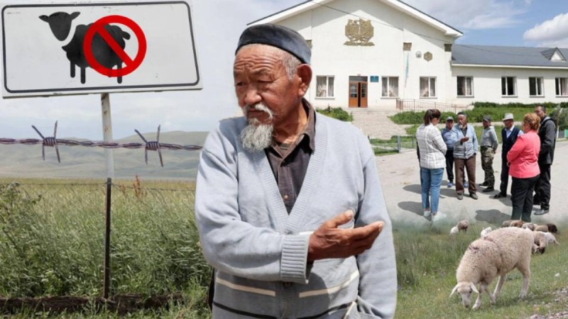 «Жайлауға әрең жеткен малдың көбі көтерем, қырылуға дайын тұр»: әйгілі Шәлкөде жайлауы жекеге өтіп кетті