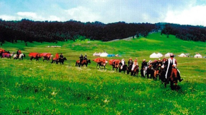 Cалтанатты көш эссе