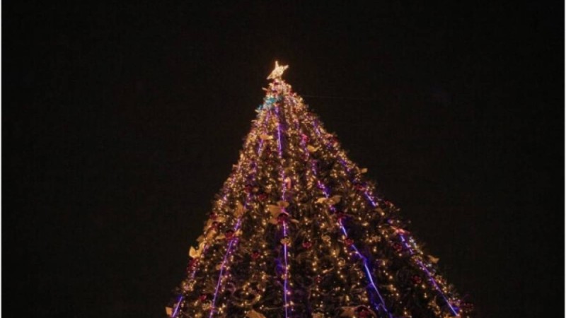 Семейде жаңажылдық шыршаны безендірген мұғалім биіктен құлады