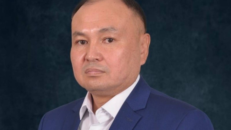 Мал бір жұттық, жерге егін егіңіздер: Депутат малы қырылған халыққа ақыл айтты