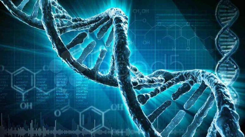 Адам ДНҚ-сынан белгісіз тіршілік иесінің іздері табылды - Қазақстан жаңалықтары