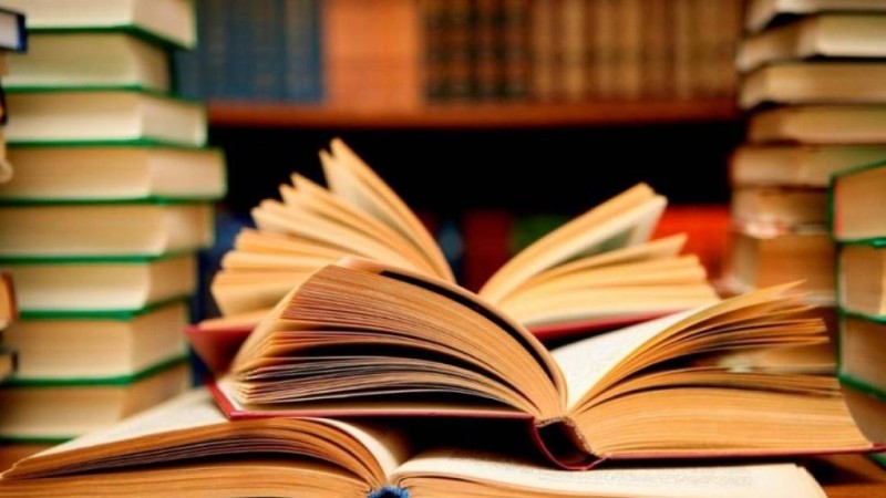 5 жылда кітапханалар тек мемлекеттік тапсырыспен шыққан 4,5 миллионнан астам кітаппен толықтырылды - Аида Балаева