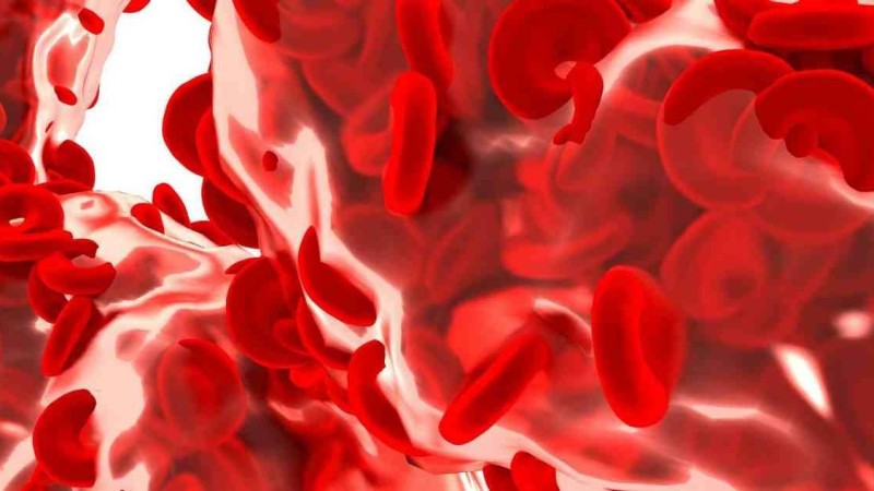 Қанға шабуыл жасайды: Ғалымдар коронавирустың жаңа белгісін атады - Қазақстан жаңалықтары