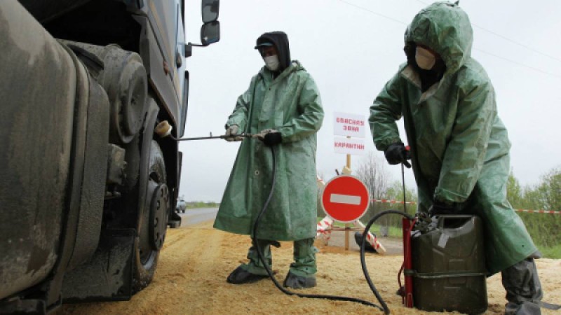 Қазақстан шекарасынан бубонды обаның қоздырғышы табылды