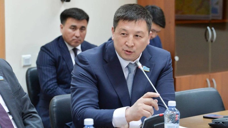 "Кім көрінген басқарып жүр": Депутат спорт федерацияларының басшыларын сынға алды