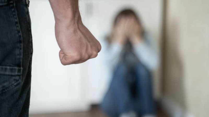 Ішкі істер министрлігі тұрмыстық зорлық-зомбылық көрсетушілерді қоғамдық жұмысқа жіберіп, үйлерінен қуып шығуды ұсынды