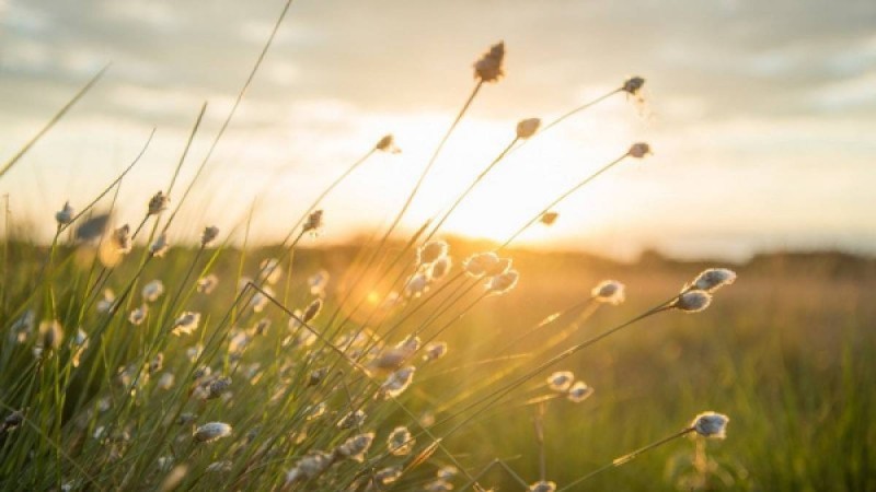 Қатты ыстық, өрт қаупі: бірнеше өңірде ескерту жарияланды