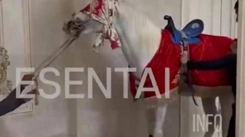 Сүндет тойда жылқыға қатыгездік көрсеткен ер адам жауапқа тартылды (видео)