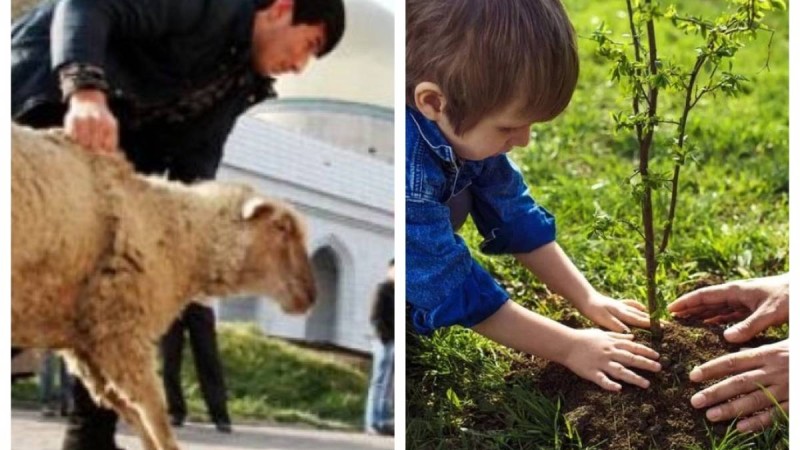 "Құрбан шалғанша, ағаш отырғызайық": Танымал мәдениеттанушы шариғатқа өзгеріс енгізуді ұсынды