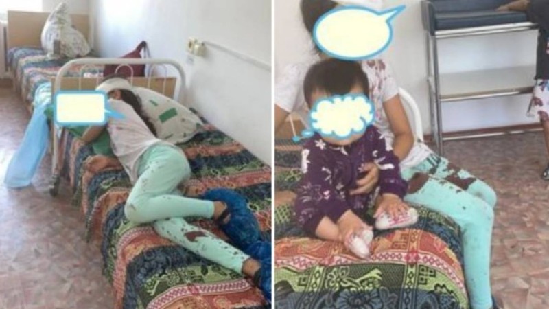 Алакөлде ер адам демалушыларға шабуылдаған: 8 жастағы қыз зардап шекті