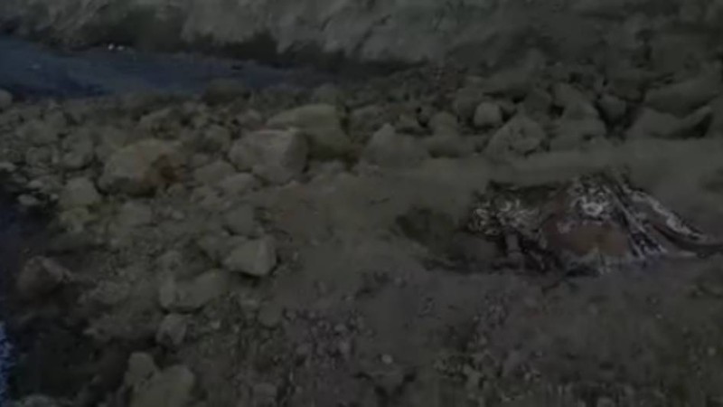 Алакөлде 17 жастағы қыздың қаза болуы: Оқиға орнынан видео жарияланды