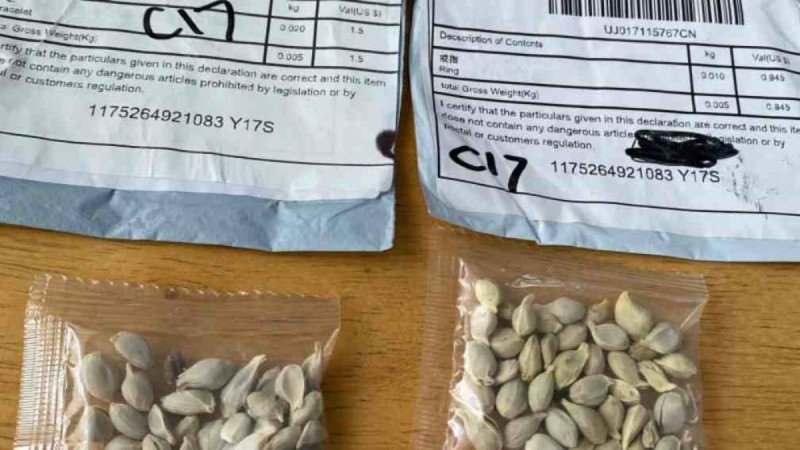 Тұрғындарға Қытайдан белгісіз сәлемдеме келіп жатыр: Қауіпті ме?