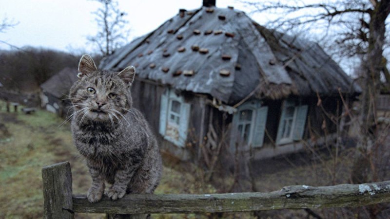Елімізде бес ауыл жойылады