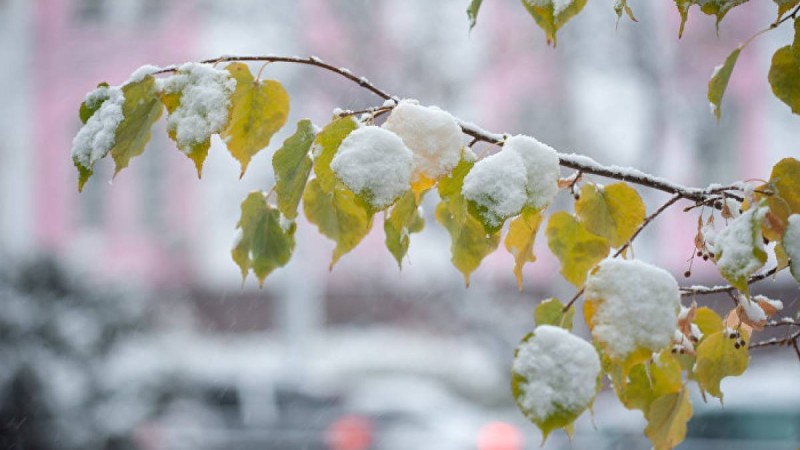 Күн суытады – бүгін ауа райы қандай болады?