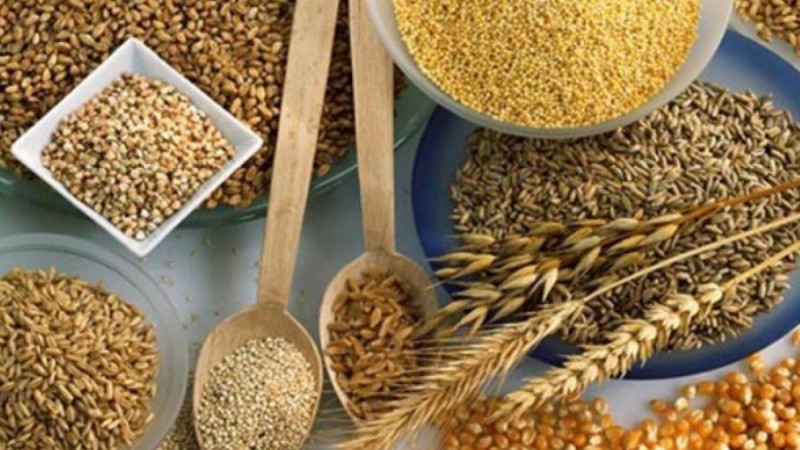 Қазақстан дәнді дақылдардың экспорттық нарықтарын кеңейтуде