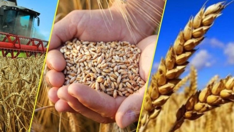 Рекордтық 580 млрд теңге егіншілерді қолдауға бағытталды