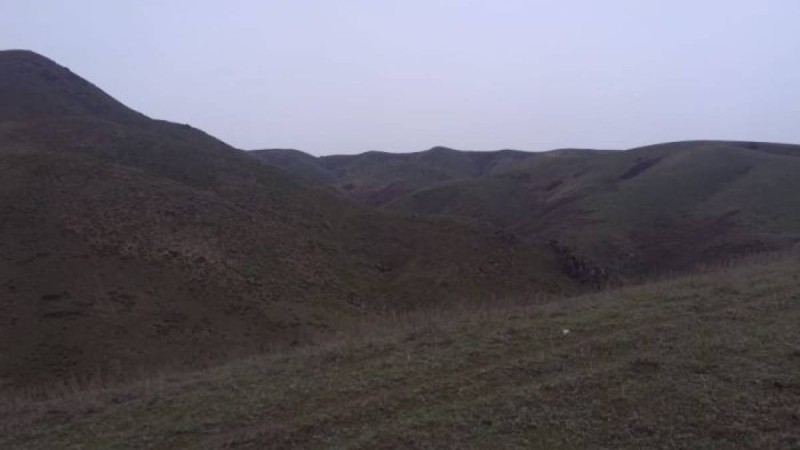 қашықтан оқып жүрген студенттің әңгімесі