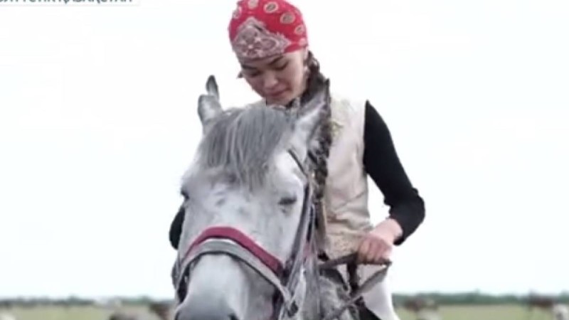 СҚО-да 24 жастағы бойжеткен жеті үйір жылқыны жалғыз өзі бағып жүр