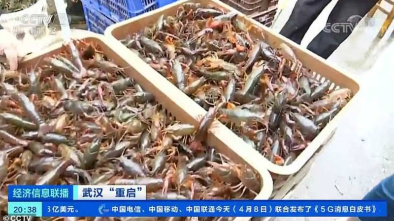 Қытайдағы базарлар - Қазақстан жаңалықтары