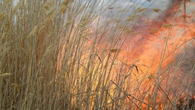 Өте қауіпті қылмыскерлер жатқан «Қара бүркіт» колониясының жанында өрт шықты