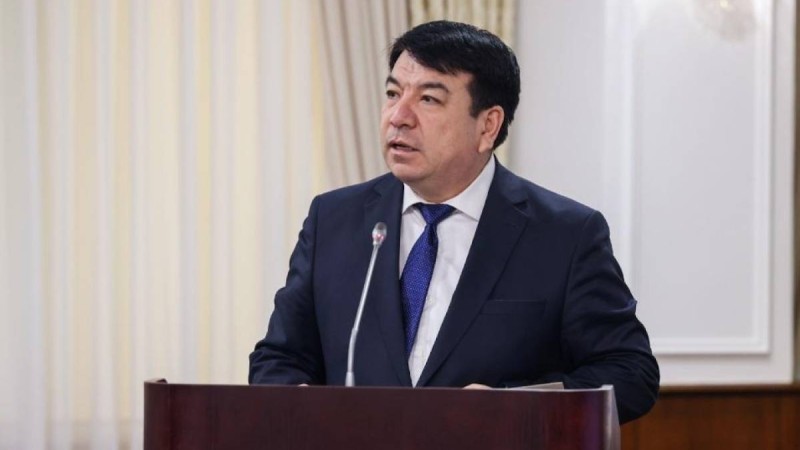 "Ата-аналармен бірге шешу керек": Министр мектеп бағдарламасына жыныстық сауат туралы пән енгізуге қатысты пікір білдірді