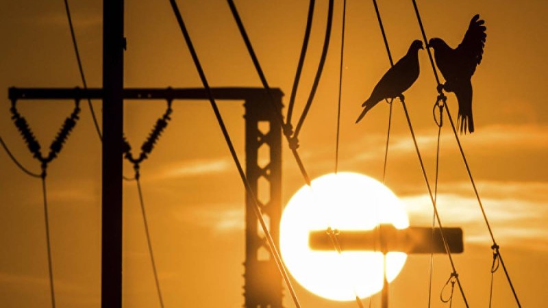 Қазақстанның оңтүстігі неге жарықсыз қалды?