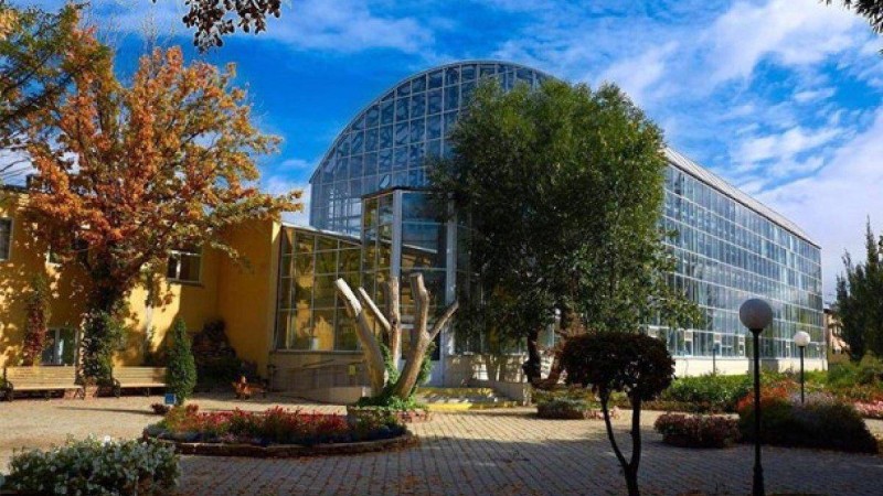 «Сепаратизм емес пе?» Петропавлдағы Ботаникалық бақты басшысы Татарстанға көшіруді сұраған