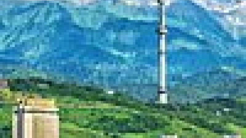 Ауа райын жан-жануарға қарап болжауы