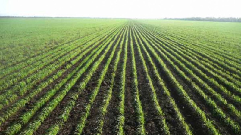 Байден егістік алқапқа байланысты қақтығыстар болуы мүмкін екенін ескертті