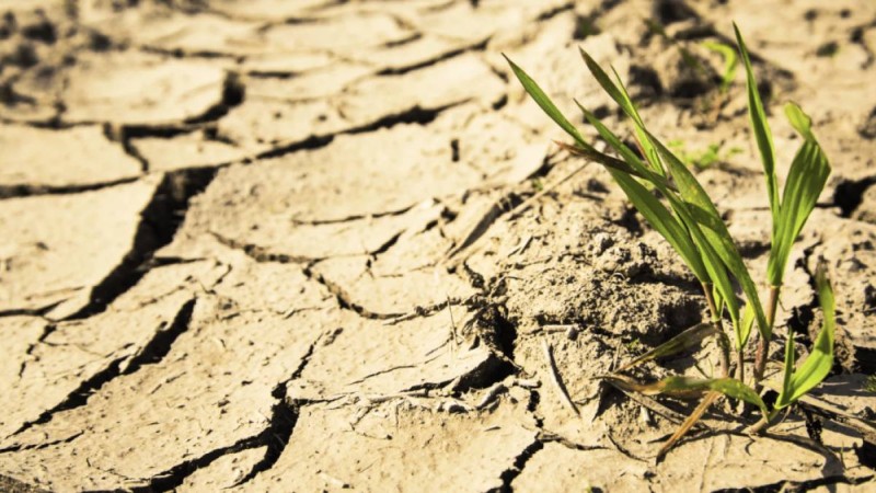 Шілде айында екі өңірде құрғақшылық болады