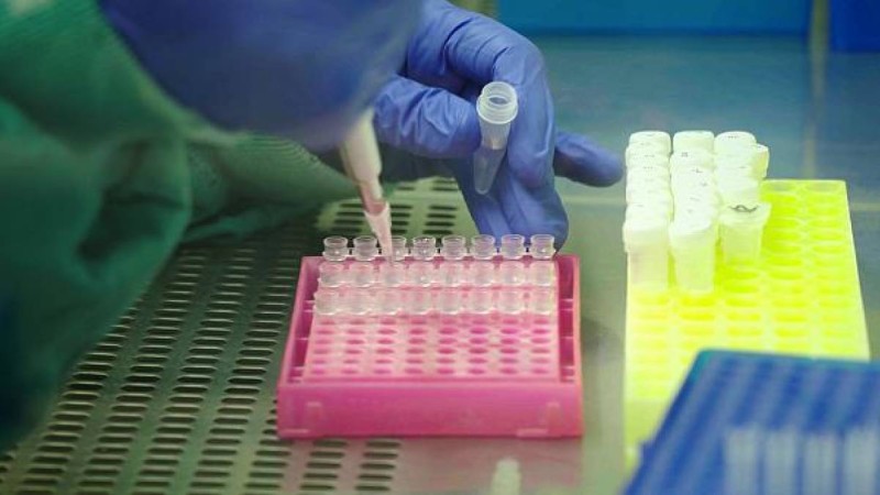 Қазақстанда коронавируспен ауырғандар саны 75 мыңнан асты