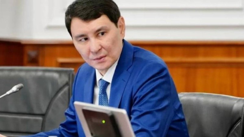 Қаржы министрлігі "Ерұлан Жамаубаевтың полицейлерге ұсталған" суретіне қатысты пікір білдірді (фото)