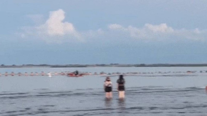 Барлығы қол ұстасып, жоғалған баланы іздеген: Қапшағайдағы видео желідегілердің жүрегін елжіретті