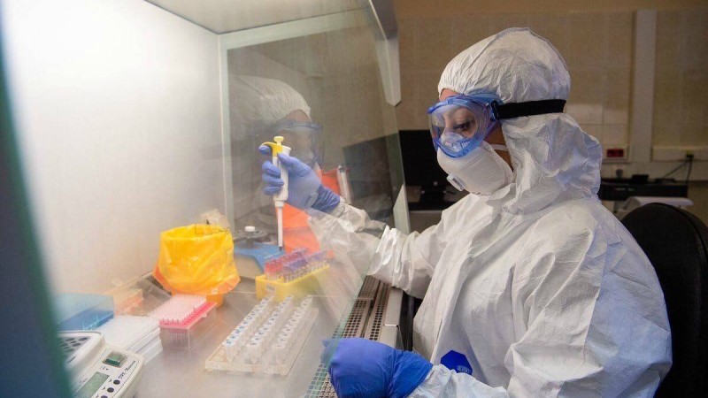 Статистиканың өсуі көңіл көншітпейді - Денсаулық сақтау министрлігі басшысының орынбасары коронавирус жайлы - Қазақстан жаңалықтары