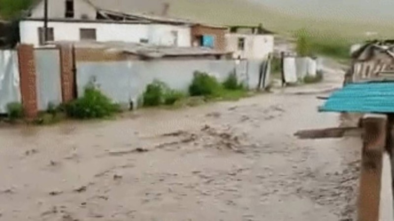Желіде Алматы облысы Кеген ауданындағы селдің видеосы тарады