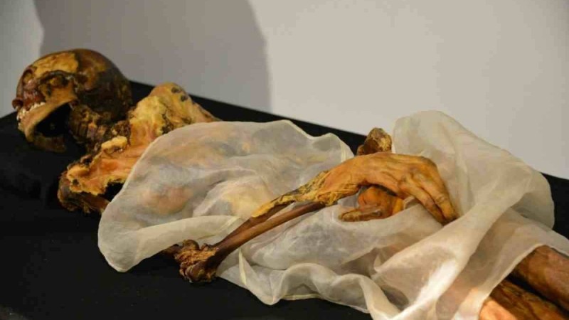 Ресейдің коронавирус анықталмаған Алтай аймағында тұрғындар мумияға табынып жүр - Қазақстан жаңалықтары
