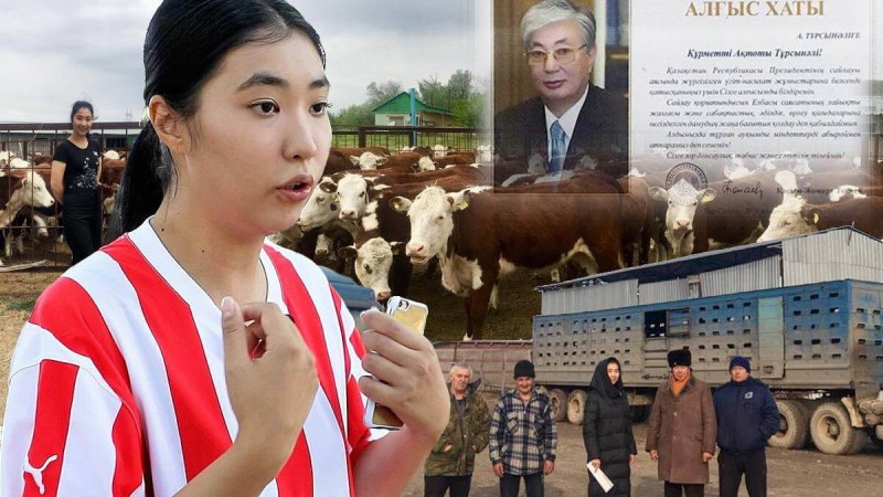 Алматы облысында кәсіпкер қыздың малын тәркілеген сот орындаушының үстінен қылмыстық іс қозғалды